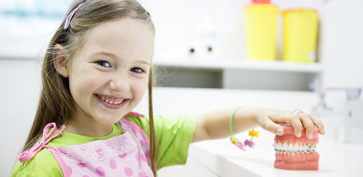 a young girl playing with model of teeth with braces