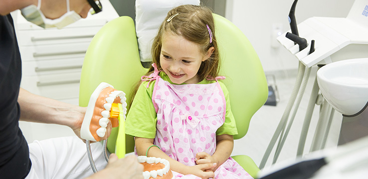 little girl smiling as a dentist shows her a model of human mouth